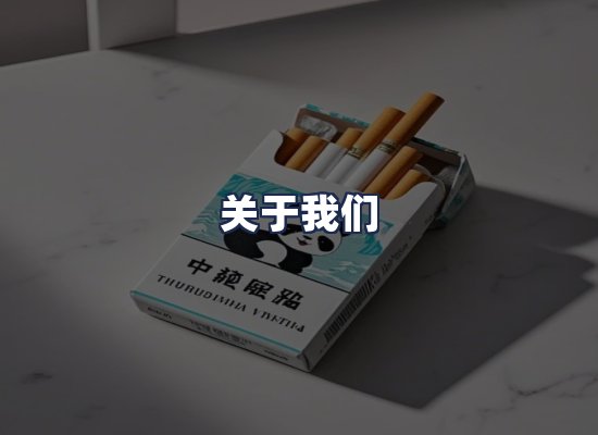 关于我们